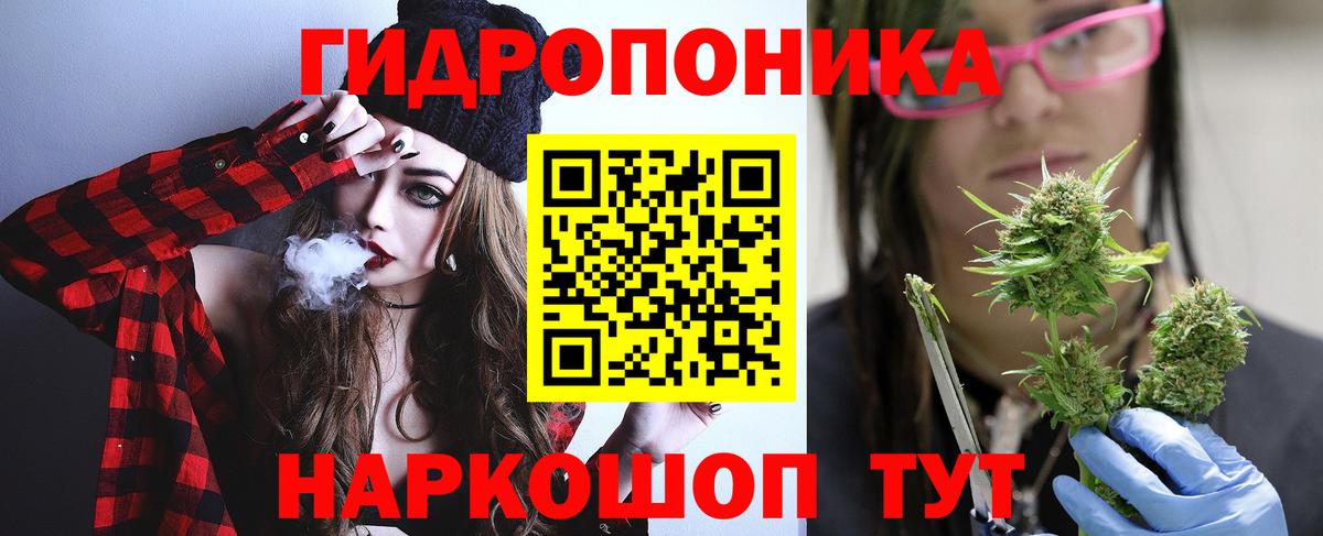 МАРИХУАНА тримм  Вход с VPN  Сланцы  Канабис план  Конопля SATIVA & INDICA 